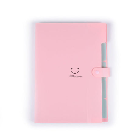 Plastic Accordion Folder - Yorkn Inc✅