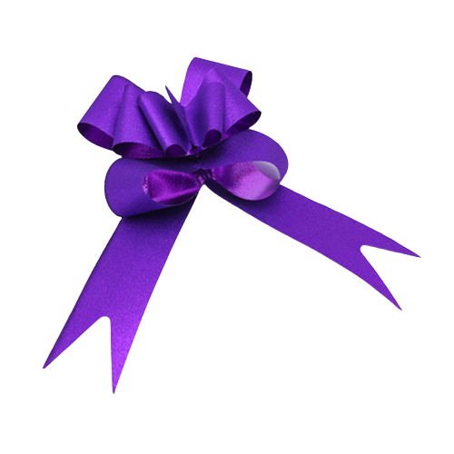 Purple Ribbon Toy - Yorkn Inc✅