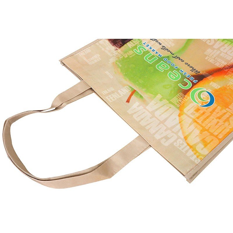 Reusable Non - woven Shopping Bag - Yorkn Inc✅