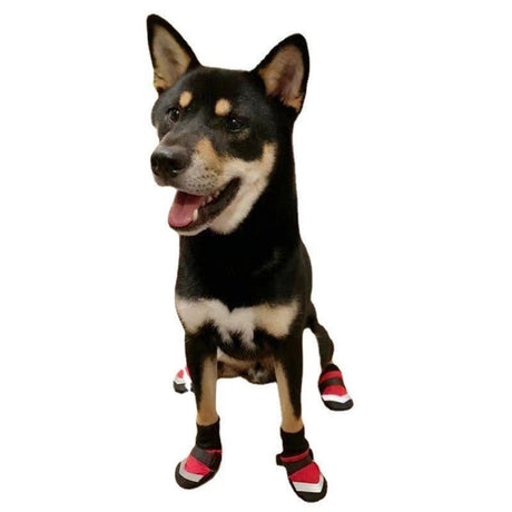 S Size Dog Shoes - Yorkn Inc✅