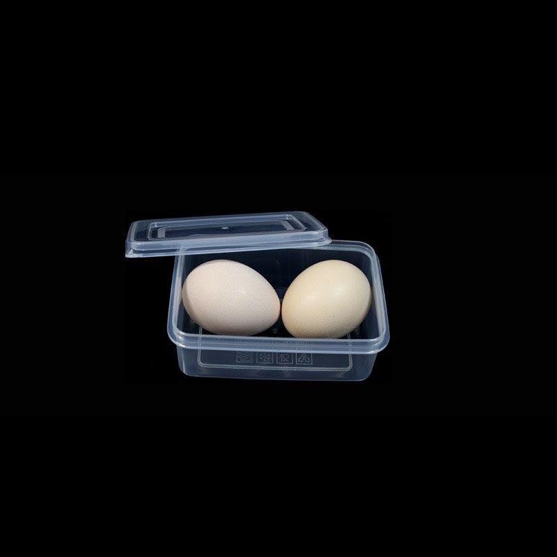 Small Plastic Case - Yorkn Inc✅