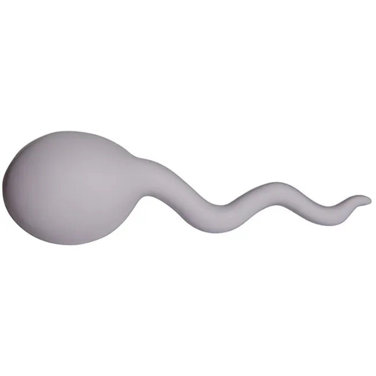 Sperm Shape Stress Reliever - Yorkn Inc✅