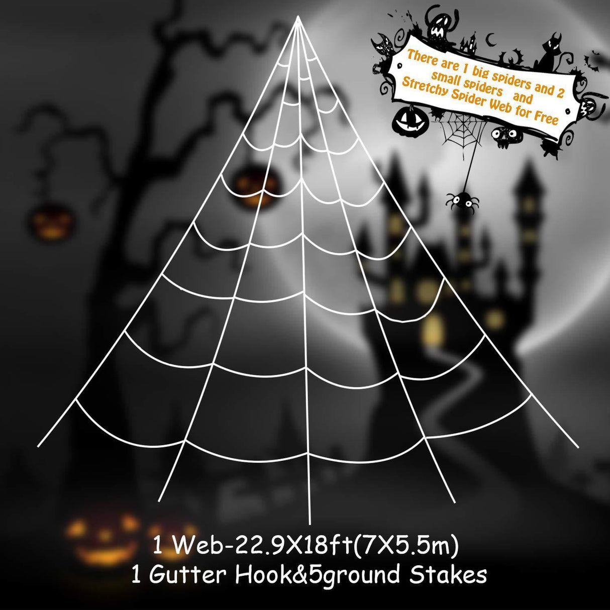 Spider Web - Yorkn Inc✅