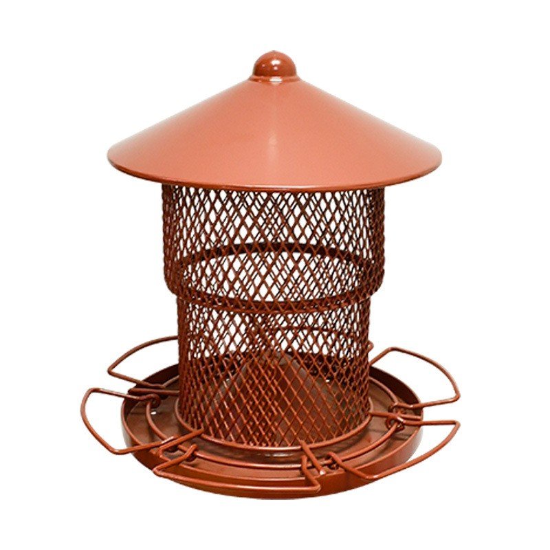 Squirrel Proof Bird Feeder - Yorkn Inc✅