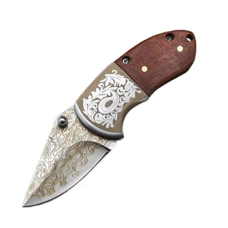 Stainless Steel Folding Knife - Yorkn Inc✅