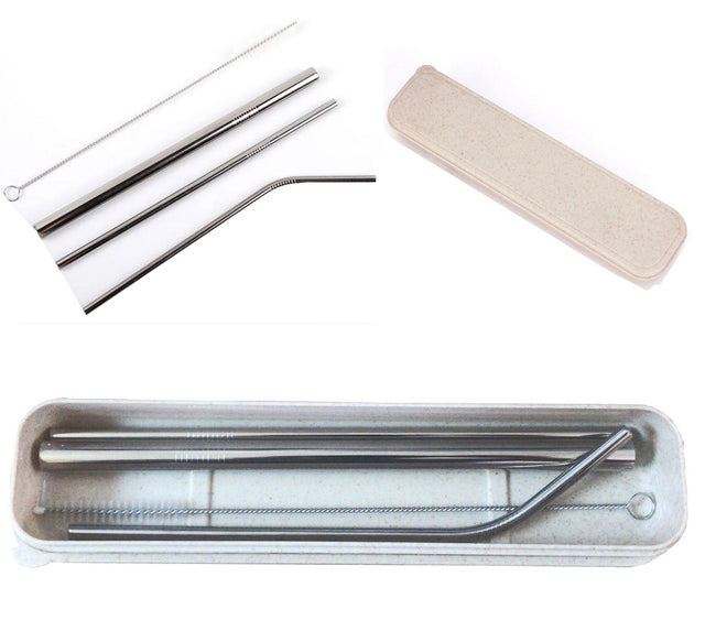 Stainless Steel Straw With Plastic Case - Yorkn Inc✅