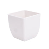Succulent Plant Small Flowerpot - Yorkn Inc✅