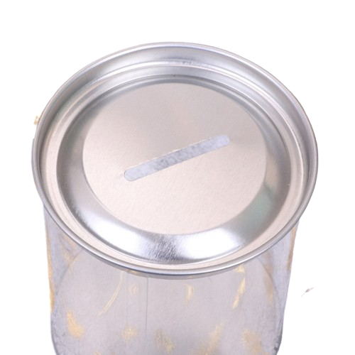 Transparent Piggy Bank - Yorkn Inc✅