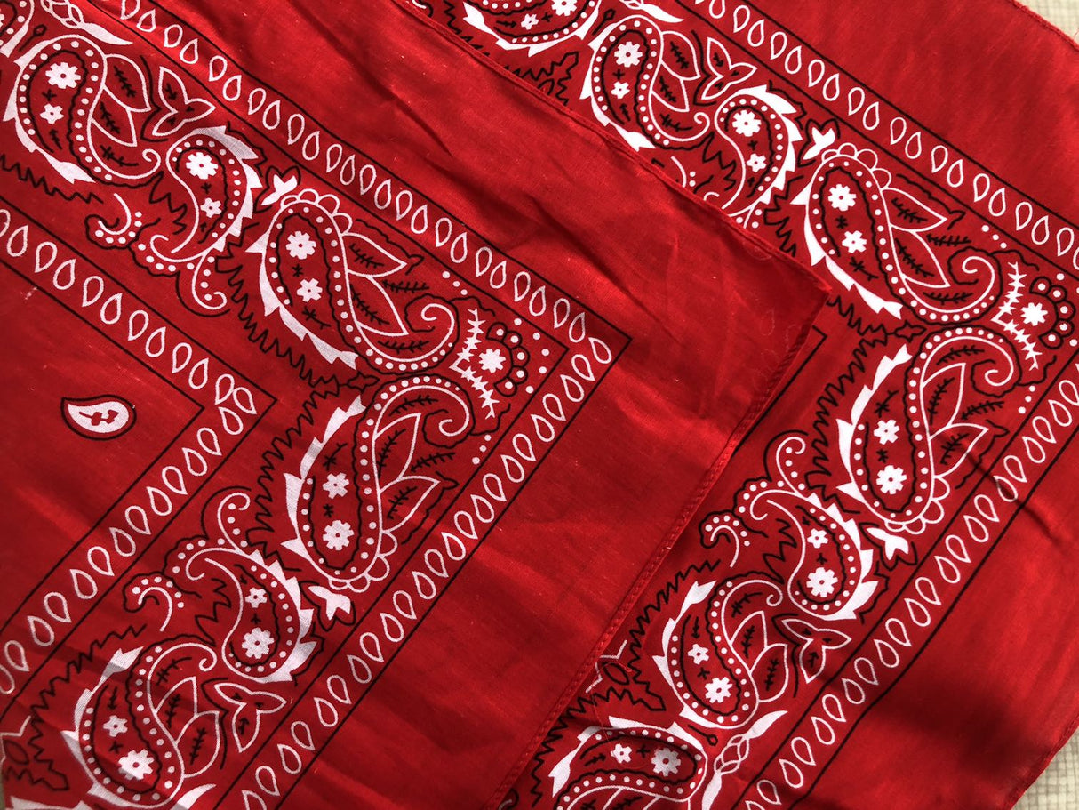 Triangle Bandanna - Yorkn Inc✅