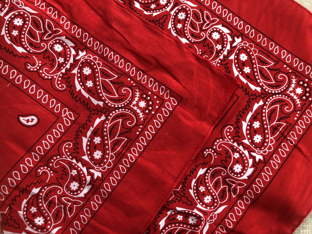 Triangle Bandanna - Yorkn Inc✅