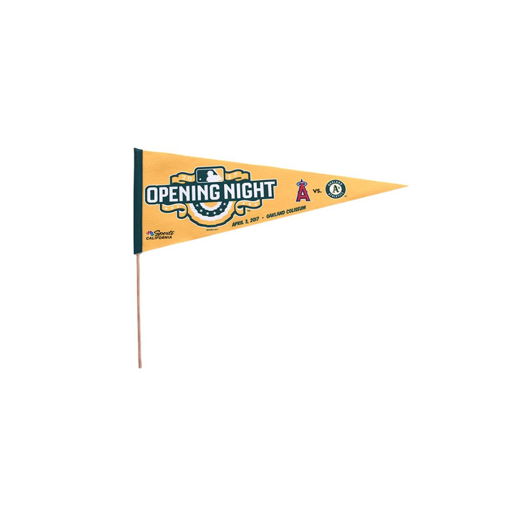 Triangular Felt Pennant - Yorkn Inc✅