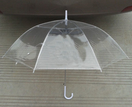 Wide Season Transparent Umbrella - Yorkn Inc✅