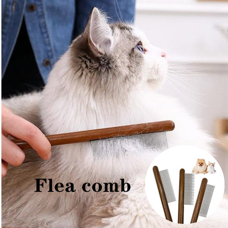 Wooden Small Dog Grooming Brush - Yorkn Inc✅