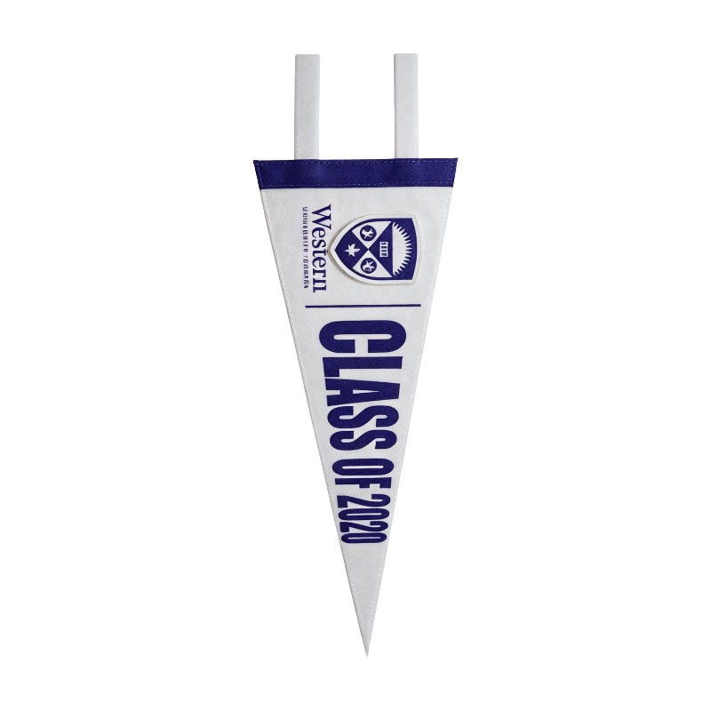 9in Full Color Print Felt Pennant