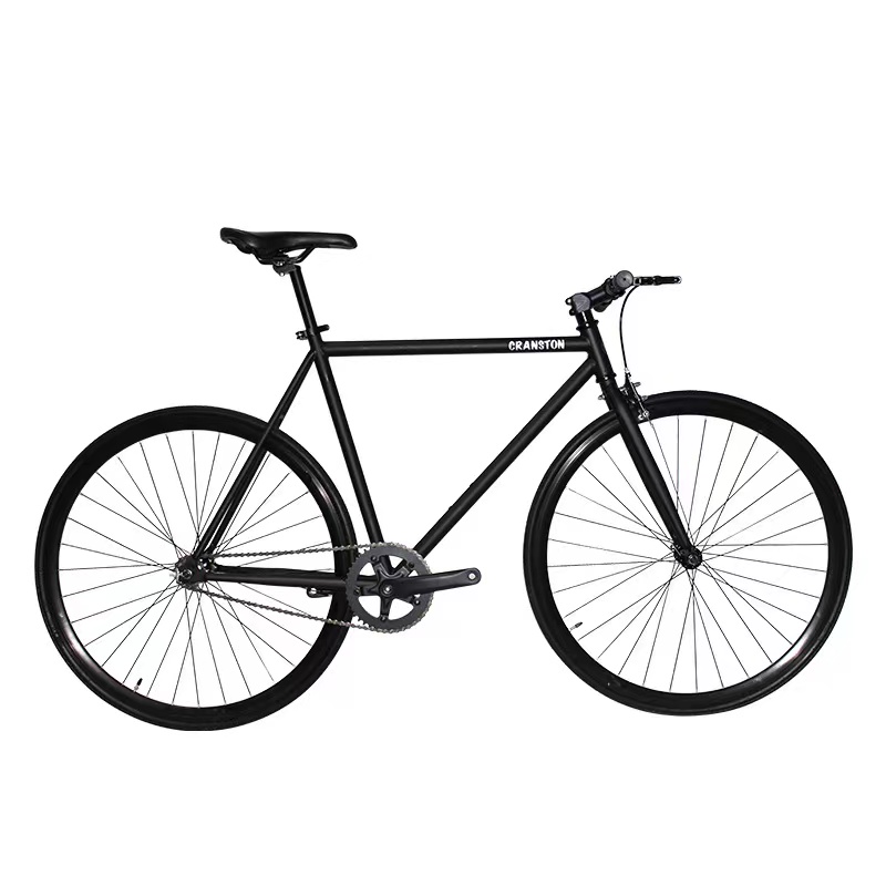Customized Bike