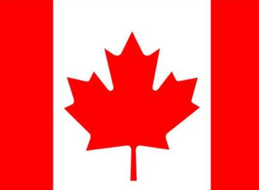 Custom Flag