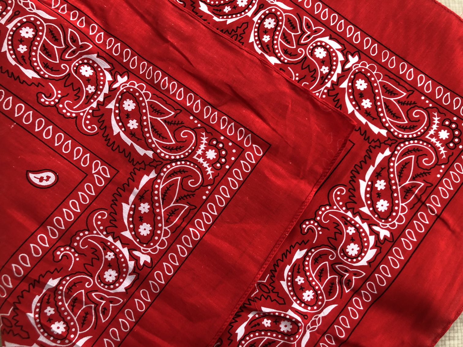 Triangle Bandanna