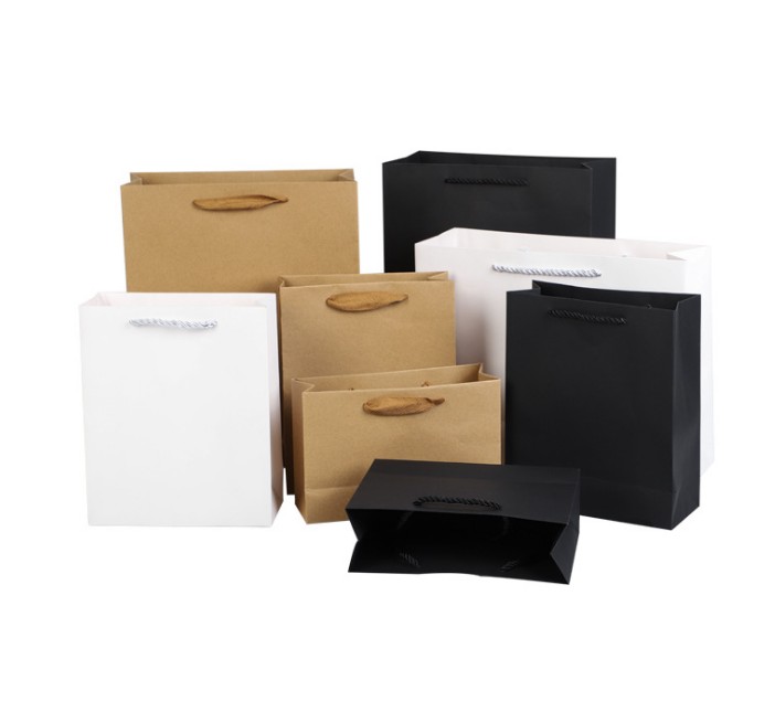 Eco Kraft Paper Gift Carrier