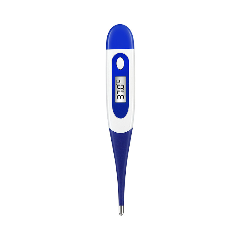 Electronic Thermometer