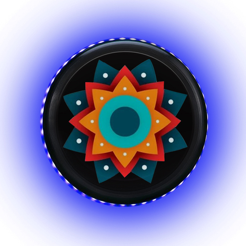 Led Luminous Flying Disc