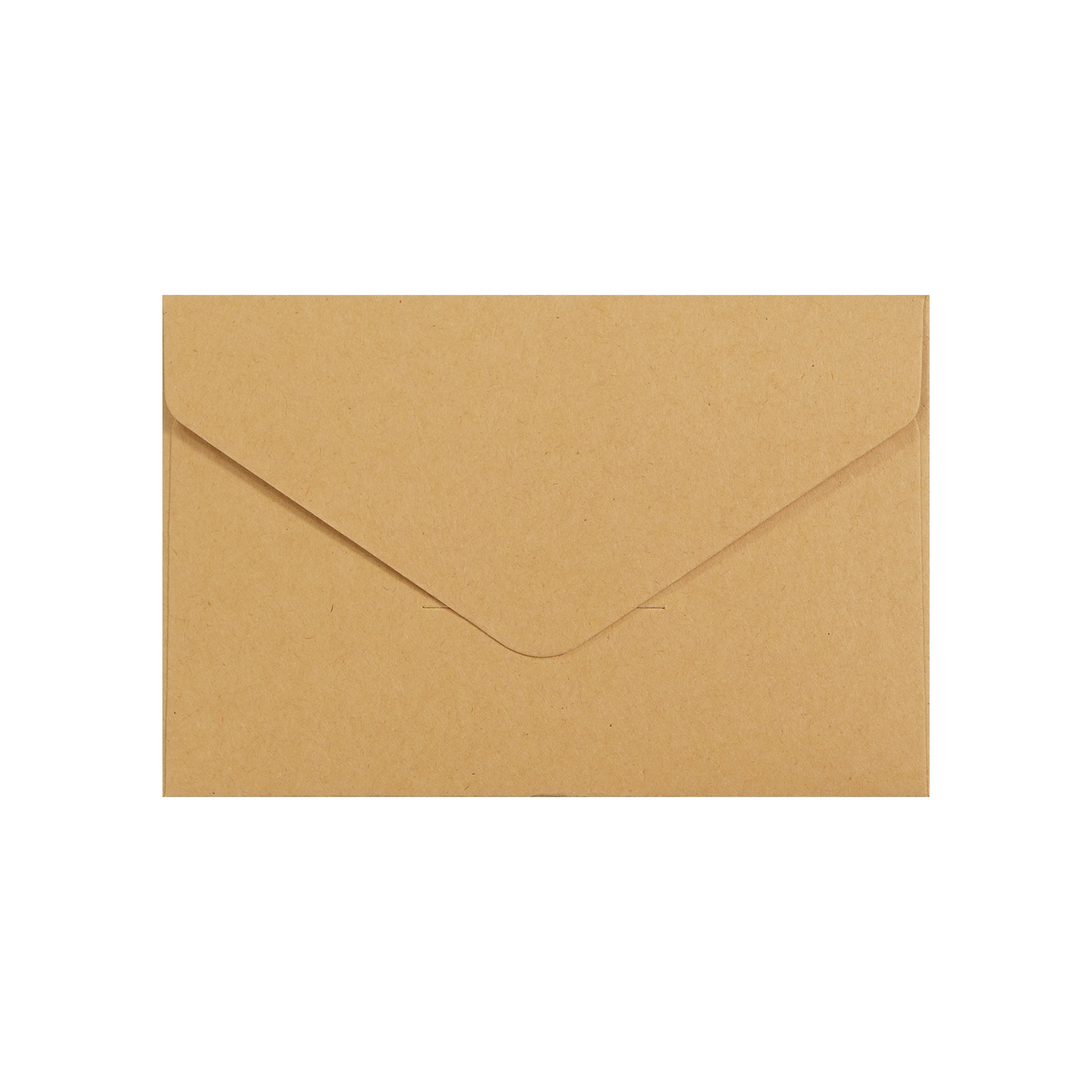 3.875 X 8.875 Inch Envelope