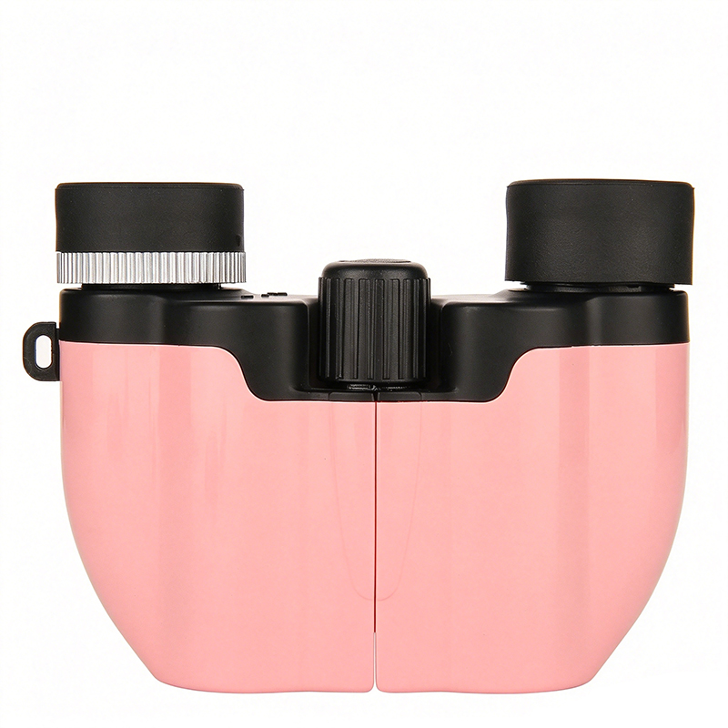10x22 Compact Binoculars
