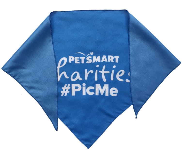 Polyester Triangle Bandanna
