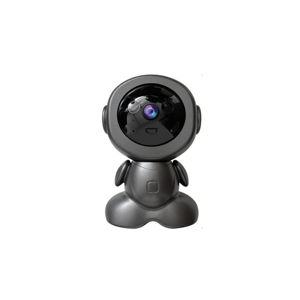 Indoor Monitoring Camera