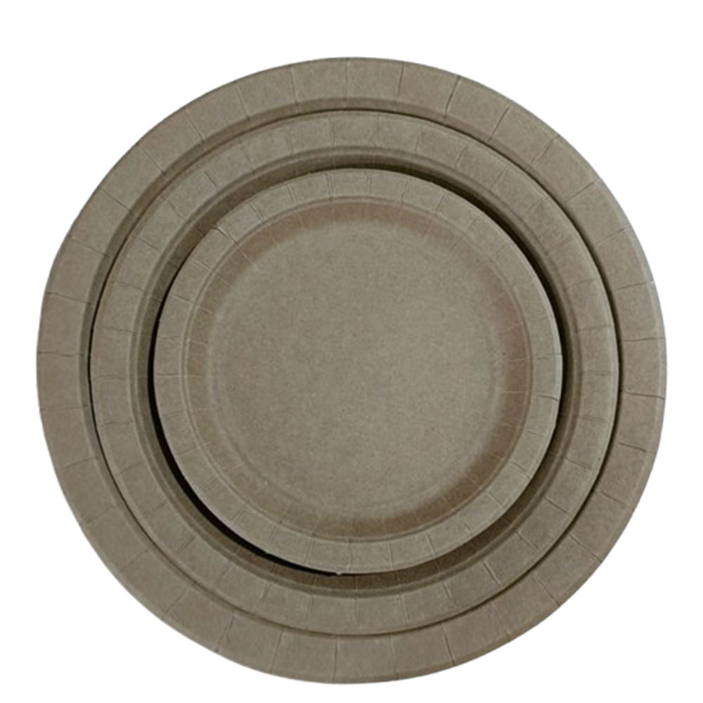 9 Inch Disposable Plate