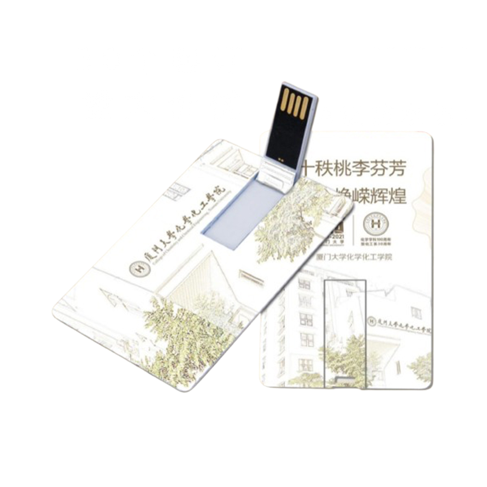 16gb Business Card Usb Flash Drive