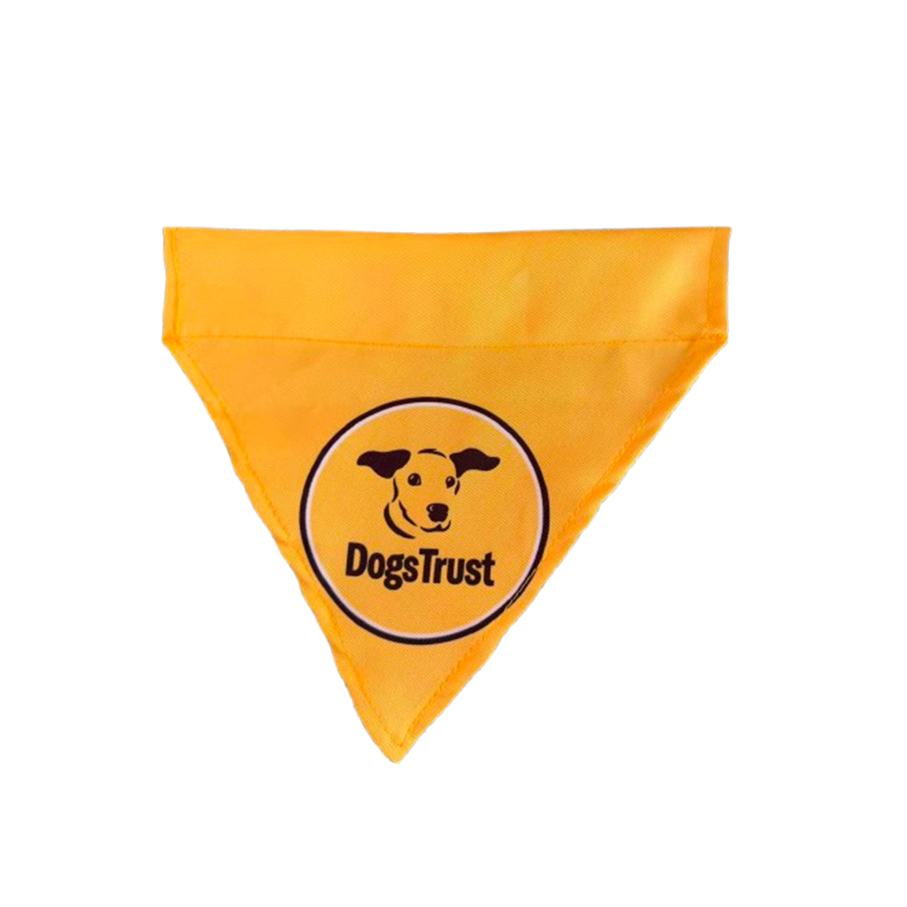 Pet Bandana