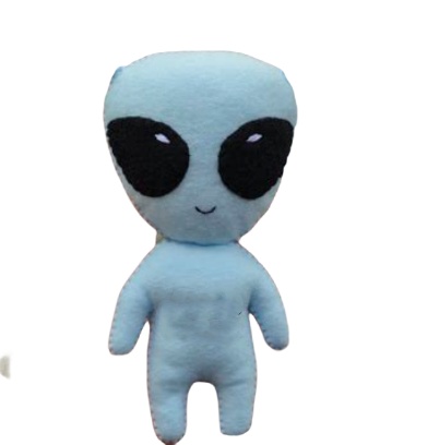 Custom Felt Doll