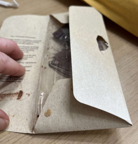 Kraft Paper Custom Candy Wrapper