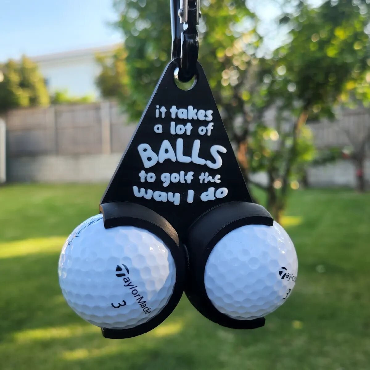 Golf Ball Carrier