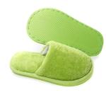 Winter Slipper view 2