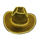 Led Adult Straw Hat view 3