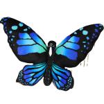 Butterfly Pillow Case Cushion Cover view 5