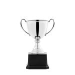 Souvenir Trophy view 2
