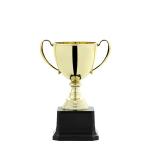 Souvenir Trophy view 1