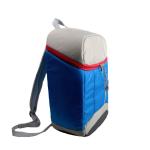 Insulated Backpack view 2
