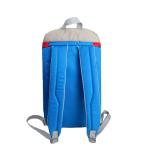 Insulated Backpack view 3