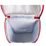 Insulated Backpack view 5