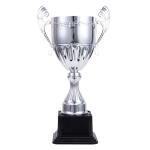 39cm Metal Trophy view 2
