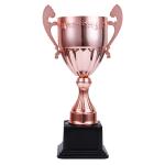 39cm Metal Trophy view 3