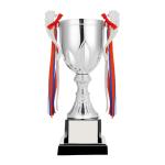 43cm Metal Trophy view 2