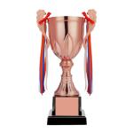 43cm Metal Trophy view 3