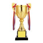 43cm Metal Trophy view 1
