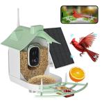 Outdoor Hanging Bird Feeder view 2