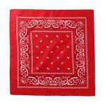 24 Inch Square Scarf view 3