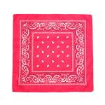 19 Inch Square Scarf view 2